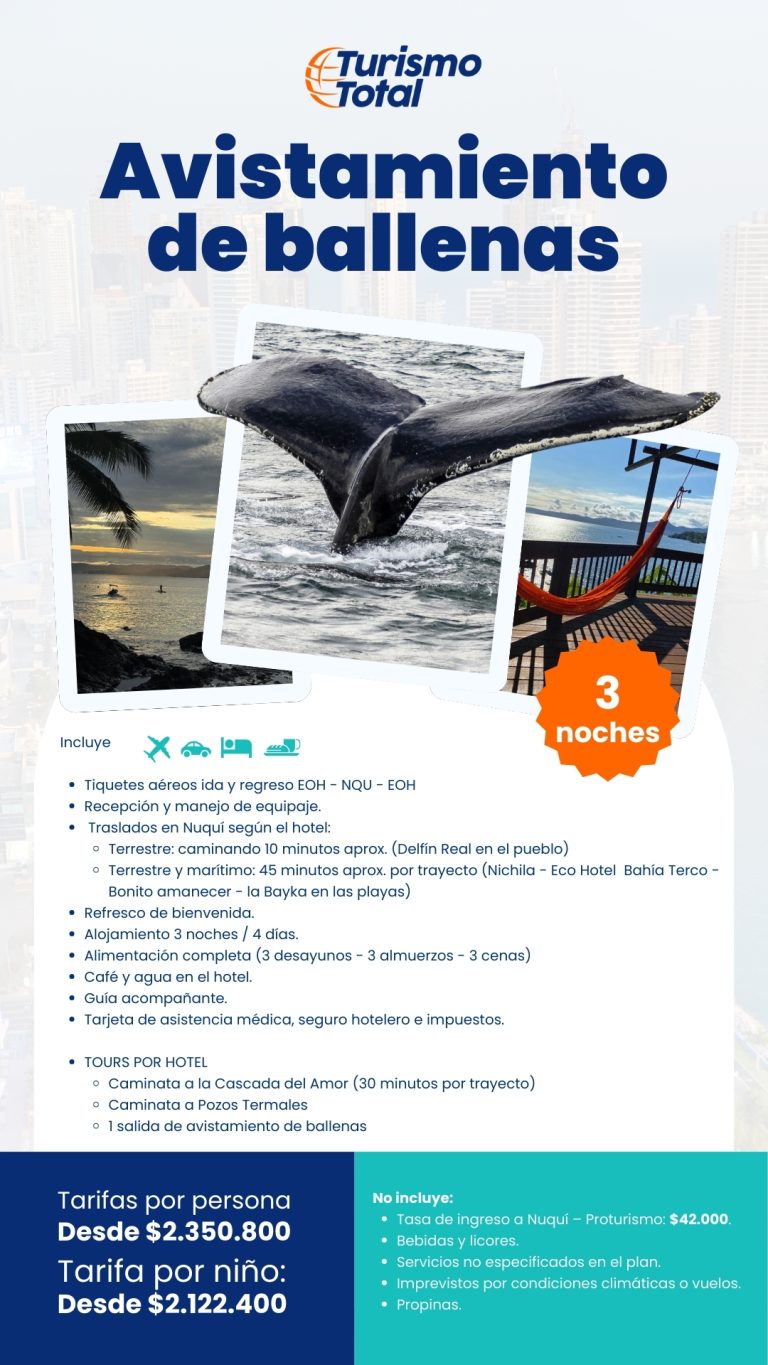 avistamiento de ballenas